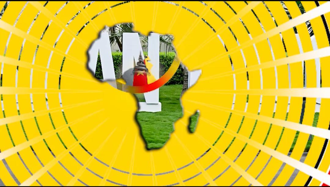 Reunión virtual del caucus africano 2020