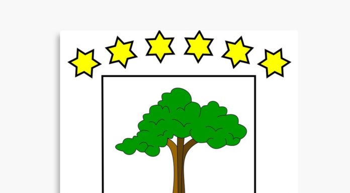 Orden ministerial por la que se aprueba el SIDUNEA.