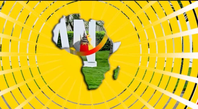 Reunión virtual del caucus africano 2020