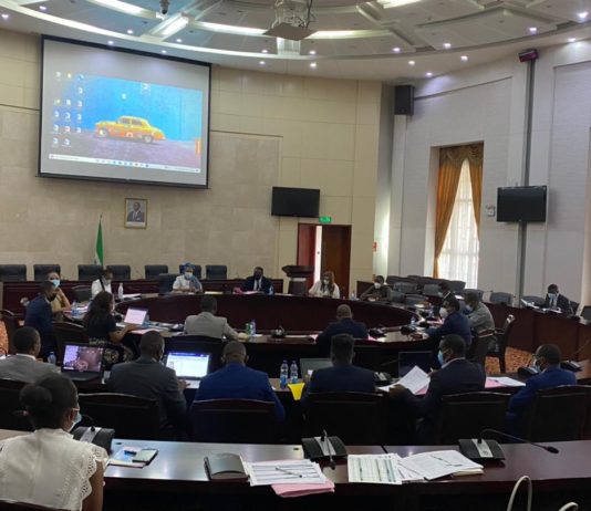 PRIMERA REUNION DEL COMITÉ TECNICO INTERINSTITUCIONAL ENCARGADO DEL PLAN NACIONAL DE RESPUESTA Y RECUPERACIÓN SOCIOECONÓMICA FRENTE A LA COVID-19