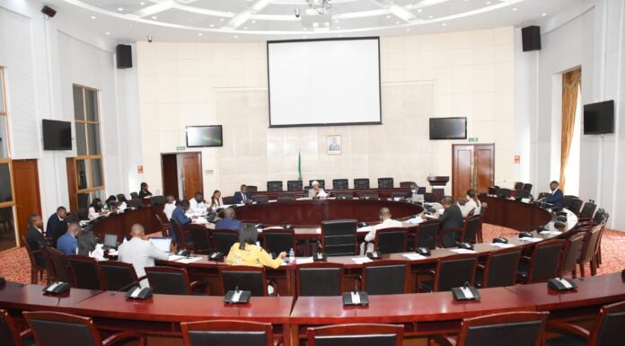 REVISION Y EVALUACION DE LOS AVANCES EN LOS TRABAJOS DE RECUPERACION SOCIOECONOMICA FRENTE A LA COVID-19