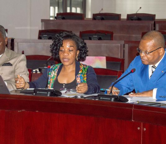 REUNIÓN DEL CONSEJO DIRECTIVO CONJUNTO ENTRE EL MINISTERIO DE HACIENDA Y PRESUPUESTOS Y LA TESORERÍA Y PATRIMONIO DEL ESTADO