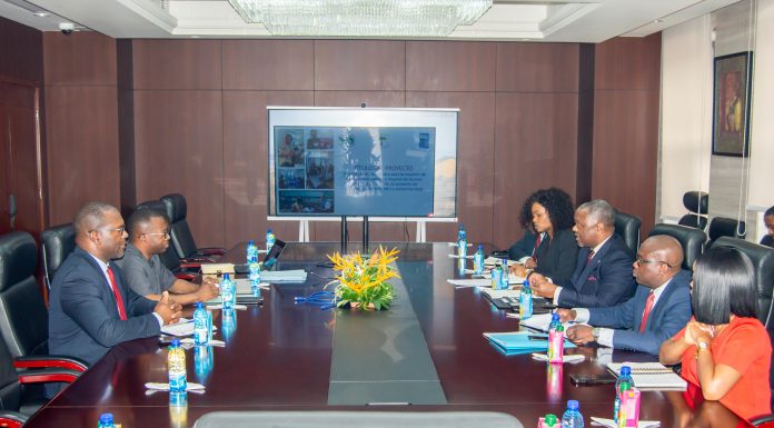 AUDIENCIA DEL VICEMINISTRO DE HACIENDA CON LOS REPRESENTANTES DE PNUD