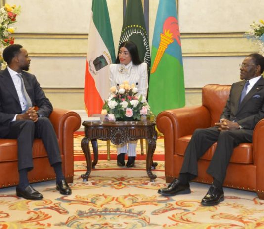 Histórico encuentro entre S.E. el Presidente de la República y la Alta Delegación del Foro Económico Mundial (WEF)